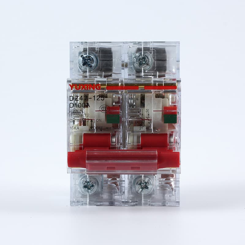 Transparent DZ47 circuit breaker with leakage protection, high-power D-type 2P/4P 100A air switch with leakage protection.