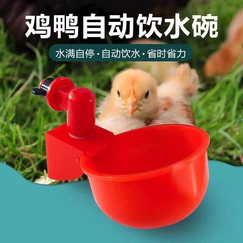 Poultry Automatic Waterer Chicken Duck Goose Drinking Bowl Livestock Watering Bucket Farming Supplies