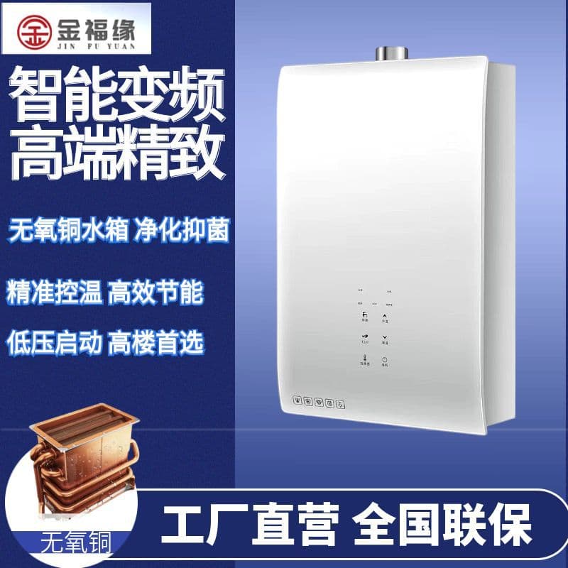 Wholesale Household Gas Water Heater 16L Natural Gas LPG Dedicated Water Heater Energy Saving Forced Exhaust Water Heater