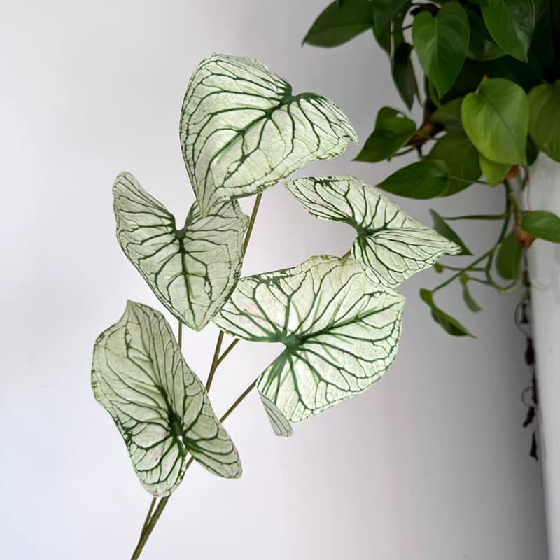 Wedding Artificial Greenery Leaves Elm Leaf Caladium Leaf 3D Printed Film Forest-Style Leaf Floral Soft Decor Green Leaves