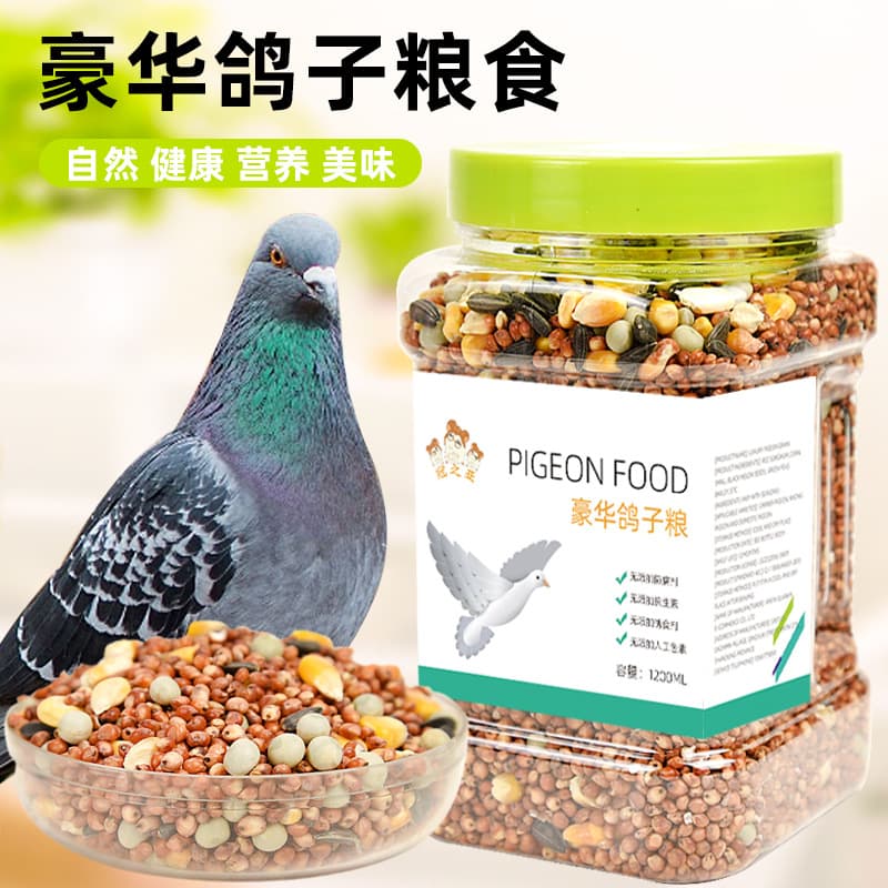 Pigeon Food, Homing Pigeons, Racing Pigeons, Breeding Pigeons, Special Nutritional Food, Corn Bird Food, Pigeon Food, Feed Supplies, Food