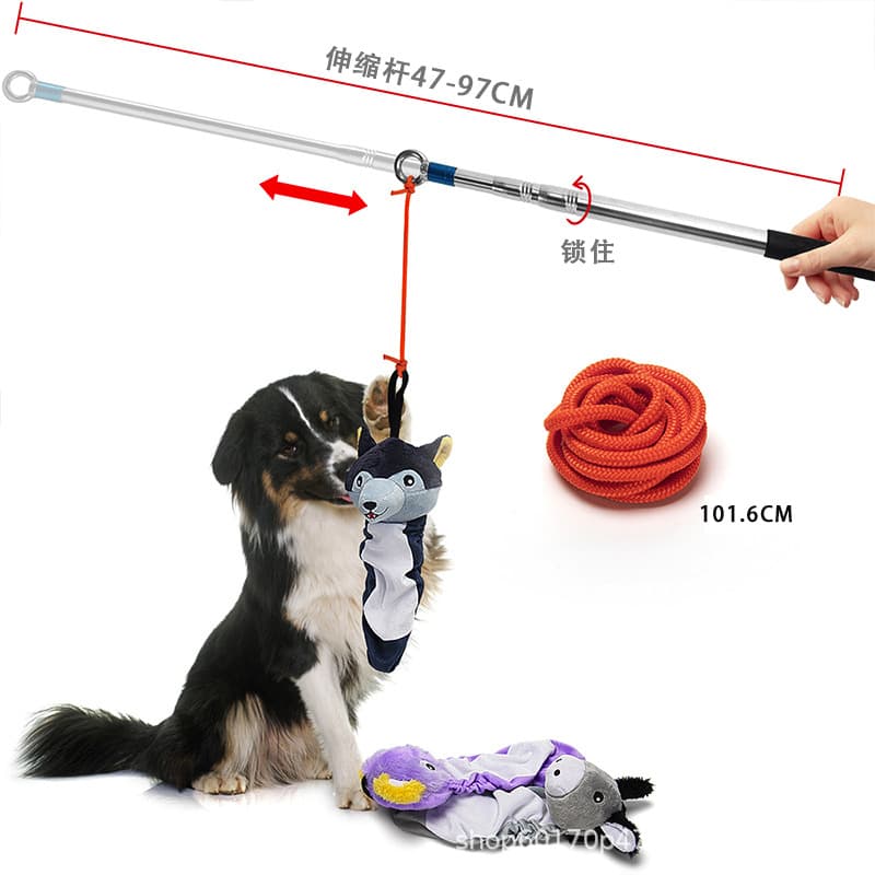Dog Training Stick, Dog Training Tool, Teasing Rod, Dog Teaser, Dog Bite Toy, Cat Toy Ball, Self-Entertainment Boredom Buster, Cat Teaser