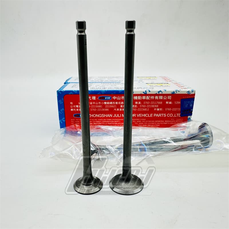 SYM DRG150 Husky 4V Phoenix / Steel Hero 2021 Cruiser 150X L1N Valve Pair