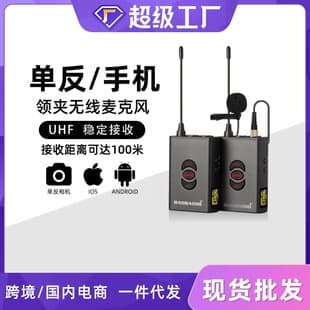 DSLR Camera Bee Microphone Chest Mic Sound Recording Microphone DV Live Streaming Video Phone Wireless Recording Microphone