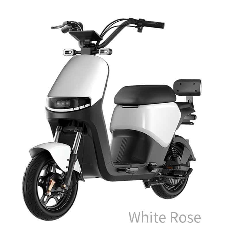 Factory Direct High Power 1000W Electric Bicycle Long Range Battery Scooter Two-Wheel Student Commuter