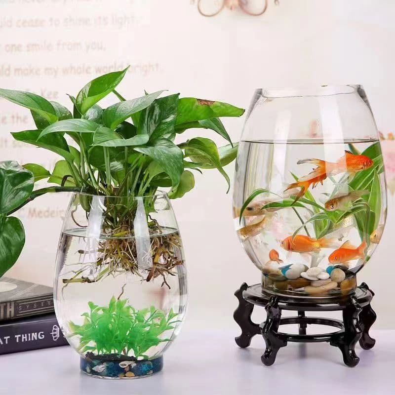 Dinosaur Egg Hydroponic Glass Bottle Large and Small Sizes Aquarium Glass Fish Tank Transparent Vase Factory Wholesale Creative