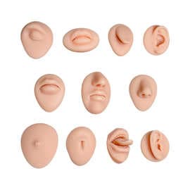 Simulated Human Silicone Facial Features Model for Lip Teaching, Piercing Practice, Ear, Nose, Eye, Tongue, Mouth Piercing Mold