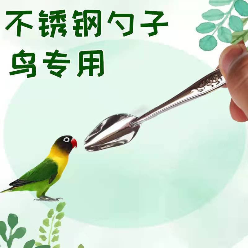 Stainless Steel Parrot Formula Spoon Feeding Tool for Baby Birds Pet Feeding Spoon