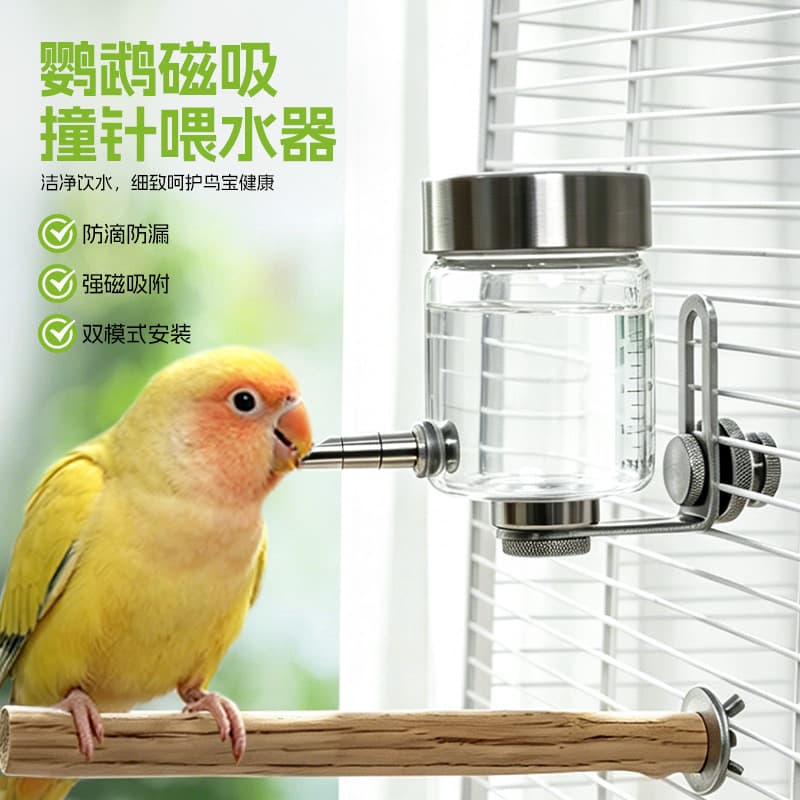 Parrot Pinch Drinking Fountain Magnetic Glass Bird Automatic Water Dispenser Myna Chinchilla Water Bottle New Bird Cage Accessory