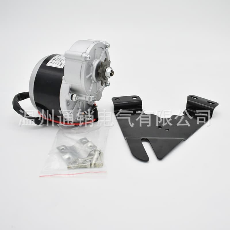 Modified Bicycle Motor MY1016Z 250W 350W Permanent Magnet Brushed Gear Motor 24V 36V Without Base