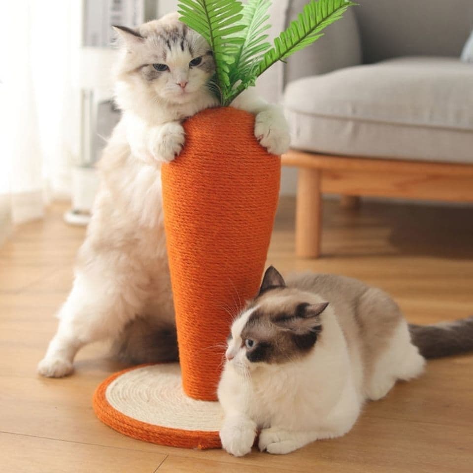 Vertical Cat Scratcher Cat Tree Self-Entertainment Toy 3D Cat Scratcher All-Season Cat Scratcher Carrot Base
