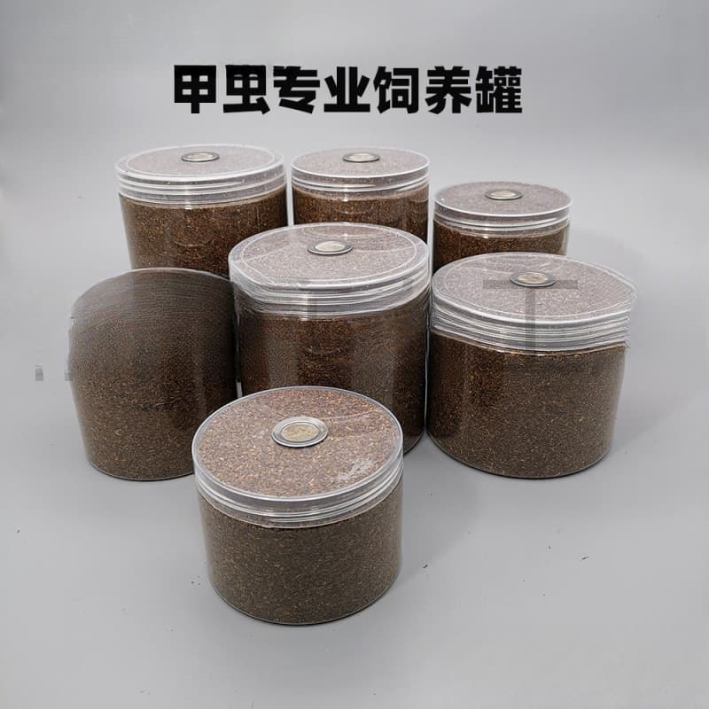 Beetle Breeding Container for Adult and Larval Rhinoceros Beetles, Stag Beetles, and Other Insect Pets
