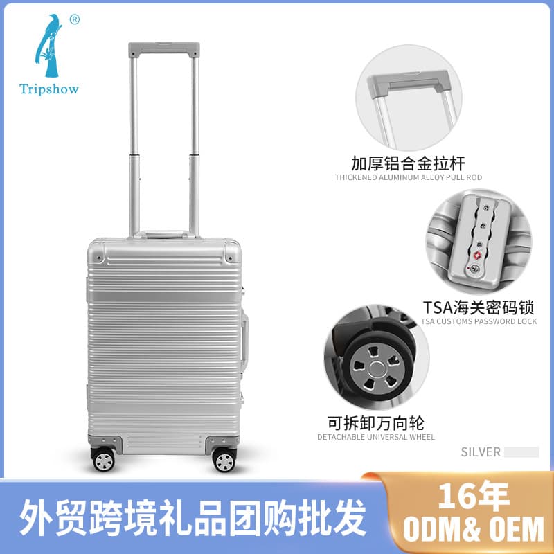 20-Inch Aluminum Frame Metal Carry-On Suitcase Business Elite Travel Bag Solid Color All-Metal Wheels Men Women Password Lock