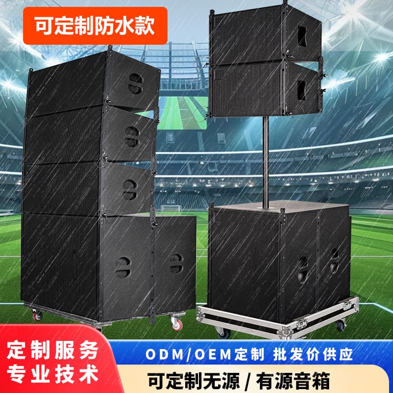 Audio Vision 10-inch Professional Line Array Speaker Stage Speaker Performance Mobile Customizable Flight Case Source Factory
