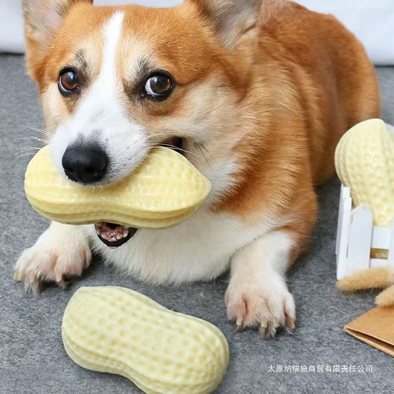 New Pet Squeaky Toy, Simulated Peanut Rubber Teething Toy for Cats and Dogs, Dog Supplies
