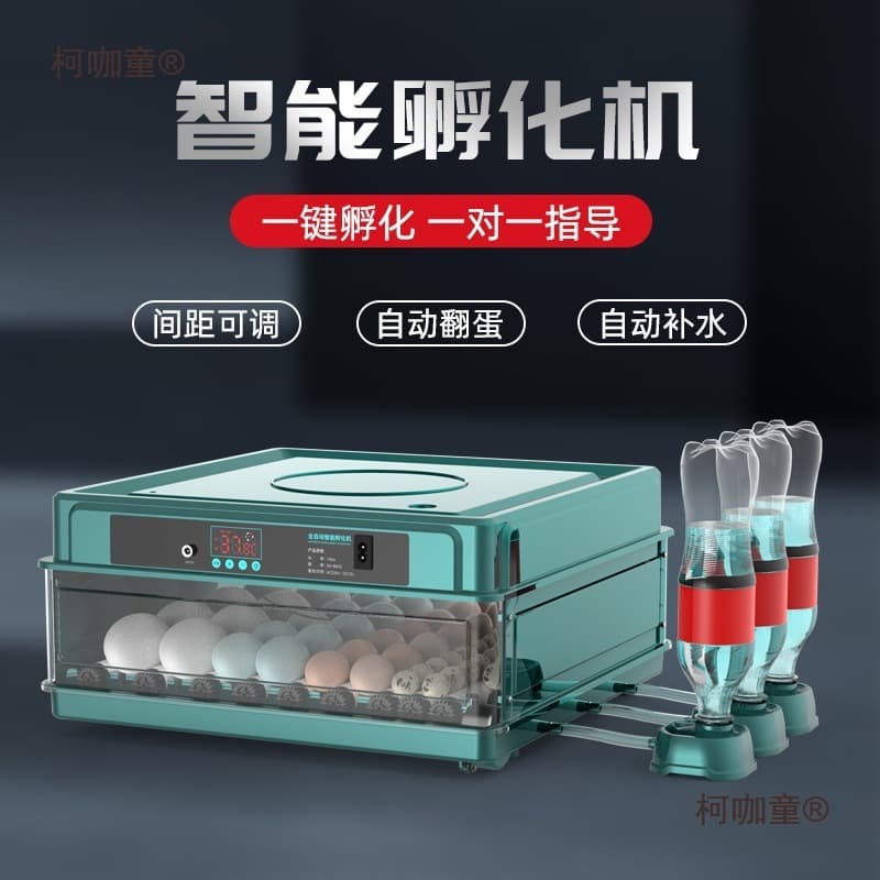 Small Home Incubator for Rutin Chickens, Fully Automatic Intelligent Egg and Chick Hatchery (McTaipao)
