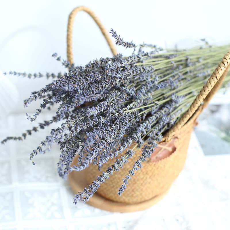 Dried Lavender Flower Bouquet for Aromatherapy Candle Making, DIY Floral Arrangement, Home Decoration, Living Room, Cross-border Flower Material