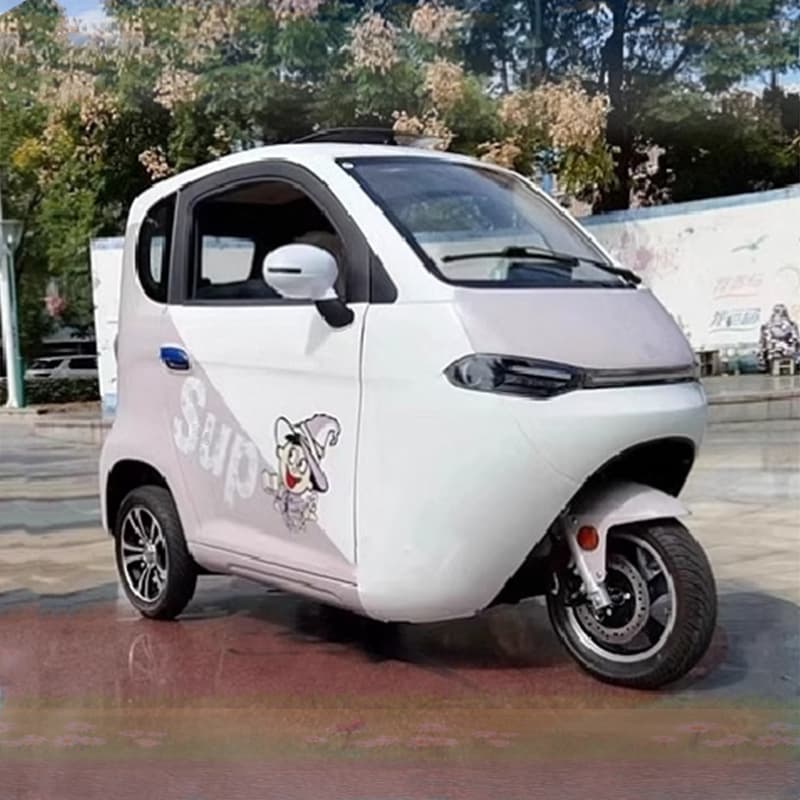 Street-Legal Solar-Compatible Three-Wheeled Household Electric Scooter for Adults, Enclosed Passenger Tricycle for Commuting and Picking Up Children