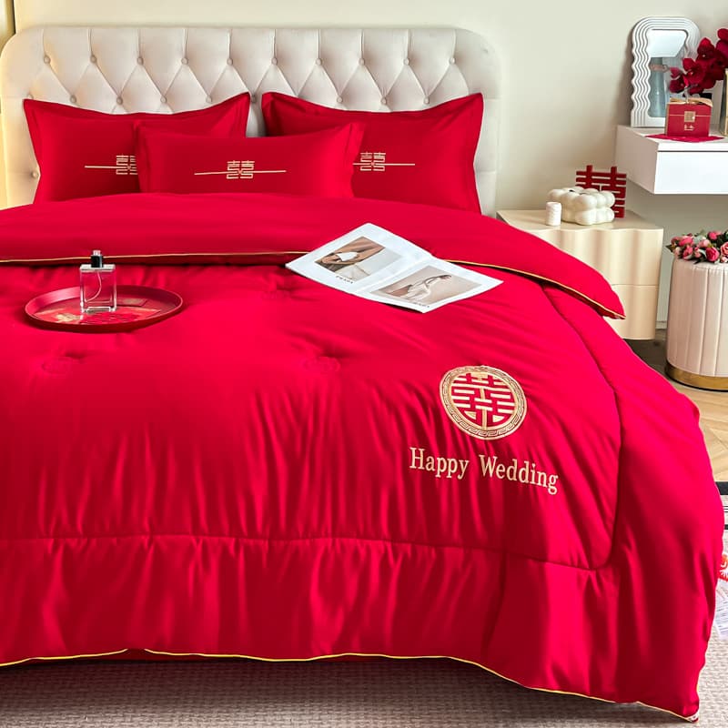 Xiaohongshu Recommended 2025 New Wedding Washed Cotton Soybean Quilt, Winter Comforter Core, Newlywed Happiness Series
