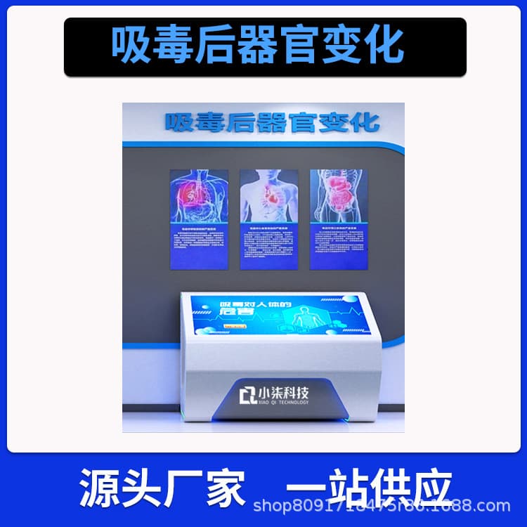 Organ Changes After Drug Use VR Simulation Anti-Drug Human Blood and Organ Changes System Education Exhibition Hall Equipment