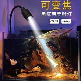 South American Native Aquarium Plant Focusable Viewing Spotlight Landscape LED Clip-on Light