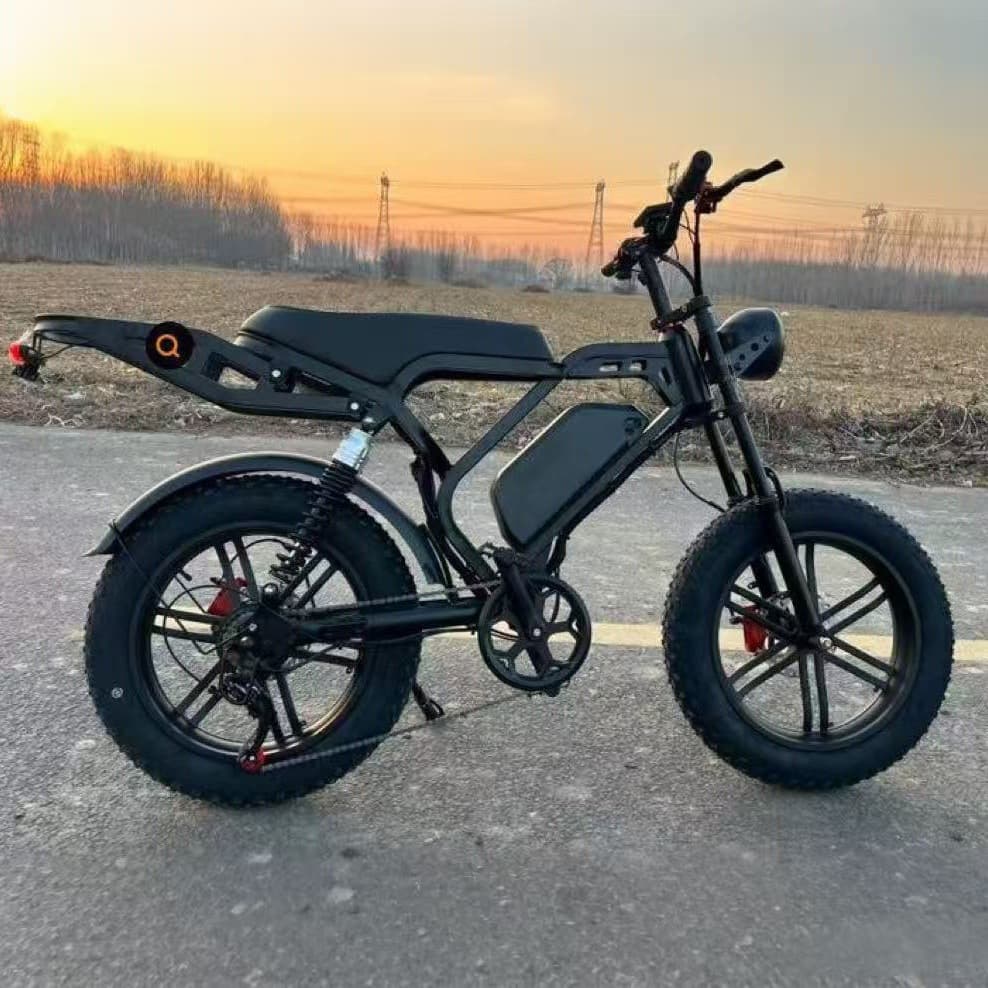 Factory Direct Sales · 20-Inch Electric Vehicles for Snow Bicycles, Snow Bikes, Electric Assist Bikes, Wholesale Cross-Border Services