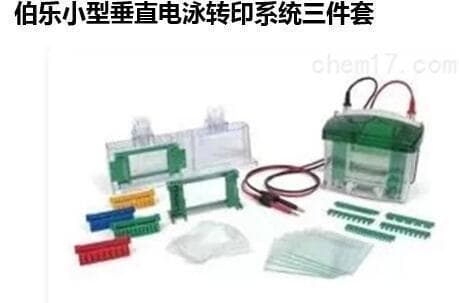 Bio-Rad Mini Vertical Electrophoresis Blotting System Three-Piece Set Lainai Default Item Others