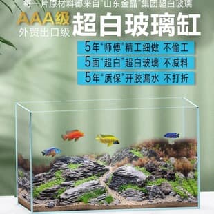 Ultra Clear Aquarium Jinjing Five-Line Glass Living Room Desktop Landscape Land and Water Plant Tank Turtle Tank Low-Maintenance Tank Saltwater Tank