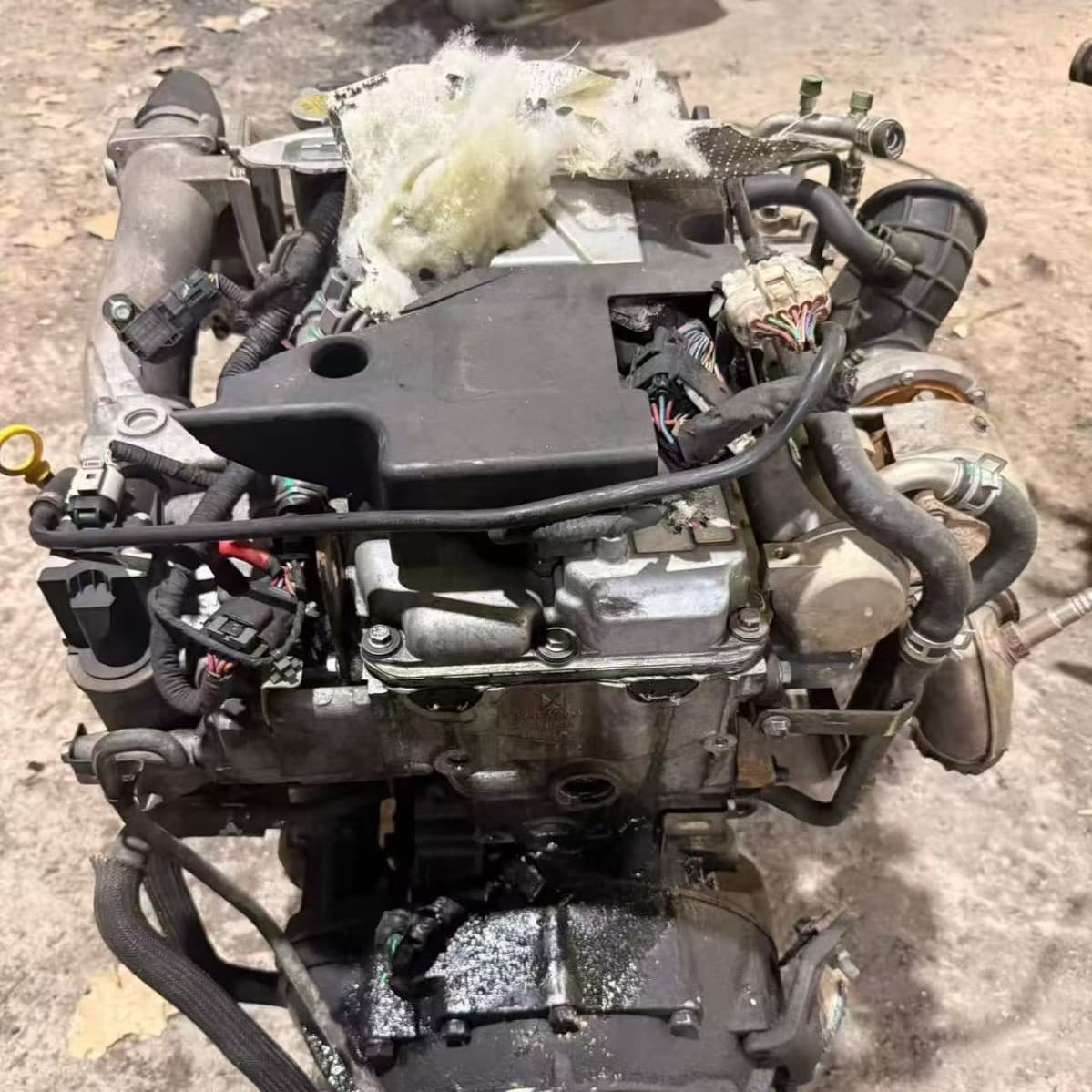 National V Tengbao Pickup Isuzu JX4D30B5L Baodian Baowei JE493ZLQ5 Shunda Quanshun Engine