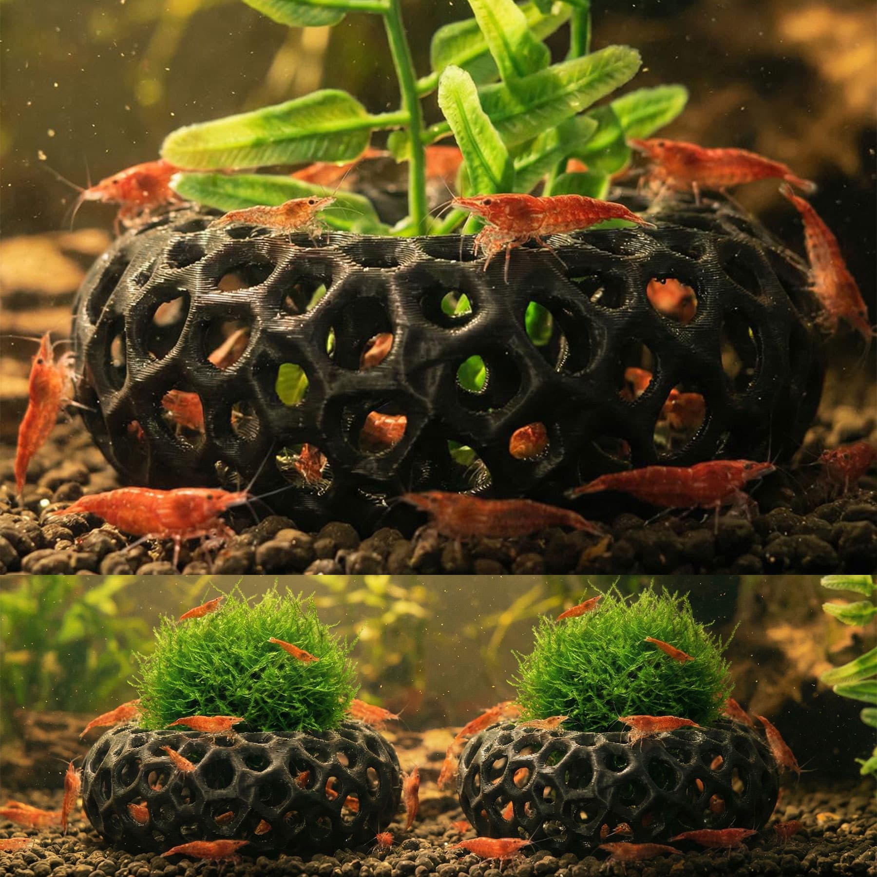 Cross-Best-Selling 3D Printed Ring Fish and Shrimp Breeding Hideout Aquarium Decor Biodegradable PLA PETG
