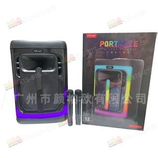 KTS BTS GTS Factory Wholesale KTS-2489 12-Inch Bluetooth Speaker with Dual Wireless Microphones