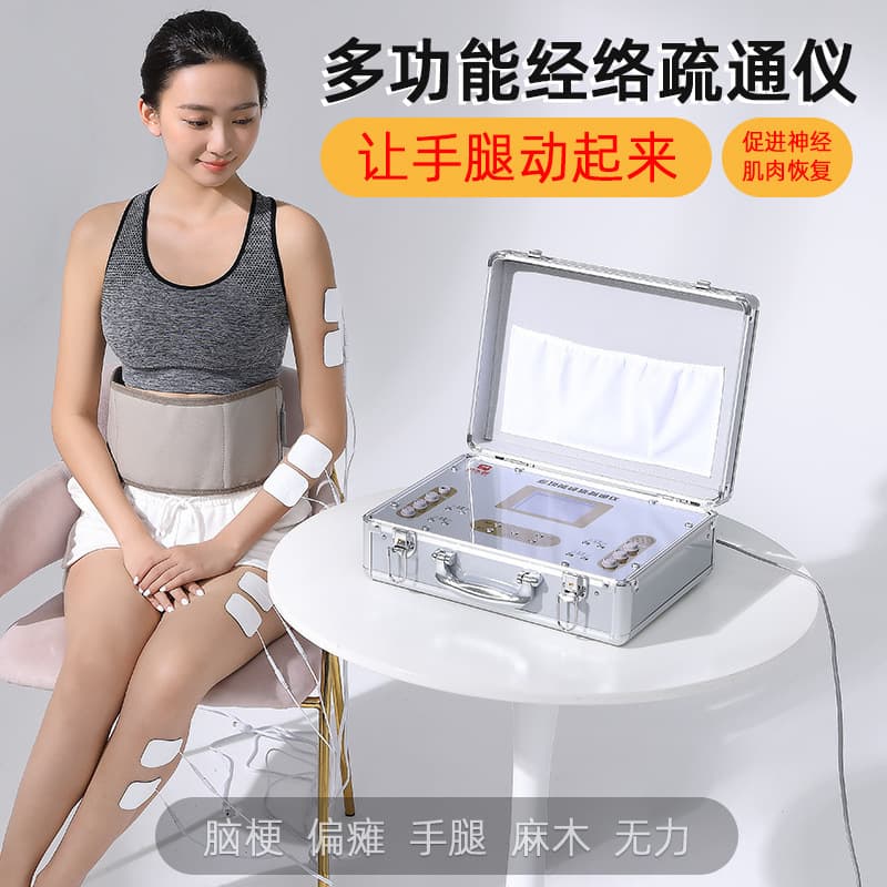 Aluminum Box Pulse Therapy Machine Electrotherapy Full Body Massager Mid-Frequency Neck, Shoulder, Waist, and Leg Pain Relief Acupoint Physiotherapy Device