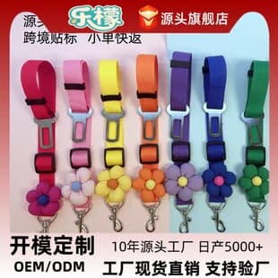 Custom Car Safety Rope Small Dog Leash Cat Walking Rope Outdoor Safety Belt Dog Chain Retractable Amazon