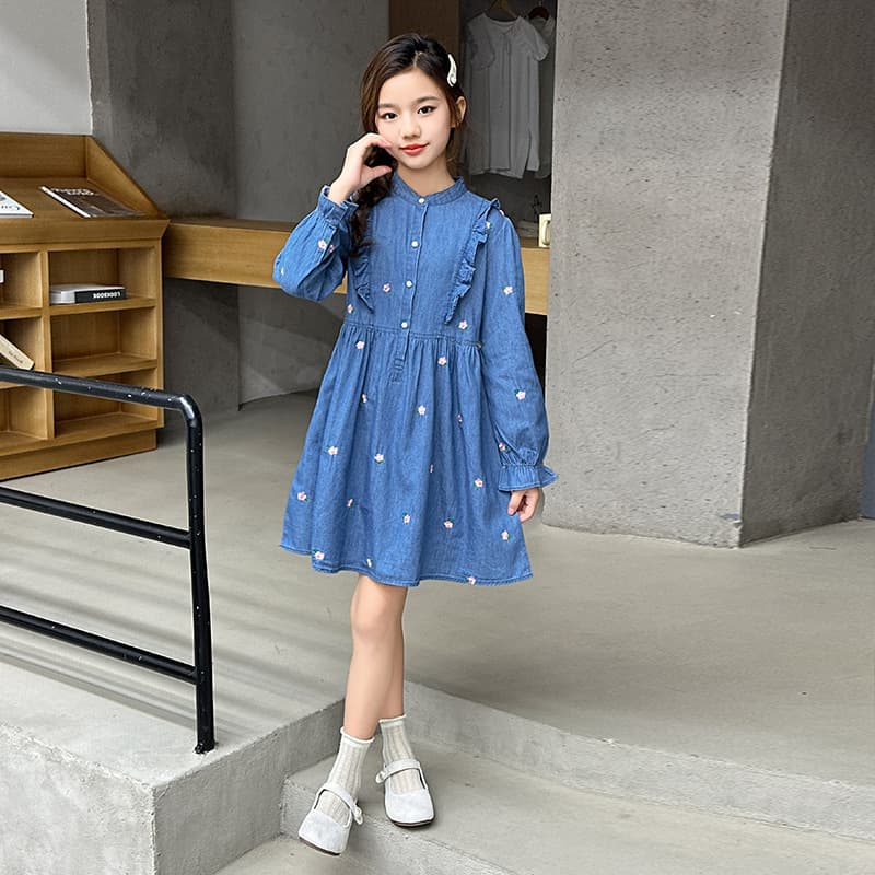 Girls Dress 2025 Autumn New Fashion Embroidered Round Neck Long Sleeve Denim Dress Children Cotton Princess Dress