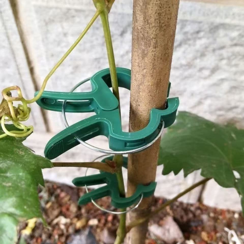 Garden Plant Clips Tomato Flower Garden Amazon Plastic Fixing Clips Green Gardening Clips
