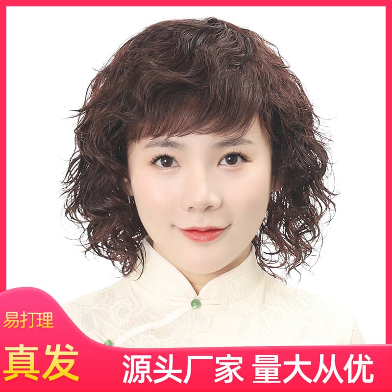 Women's Full Head Real Hair Wig, Elderly Wig, Long Fluffy Stylish Curly Wig, Full Head Real Hair Wig for Women
