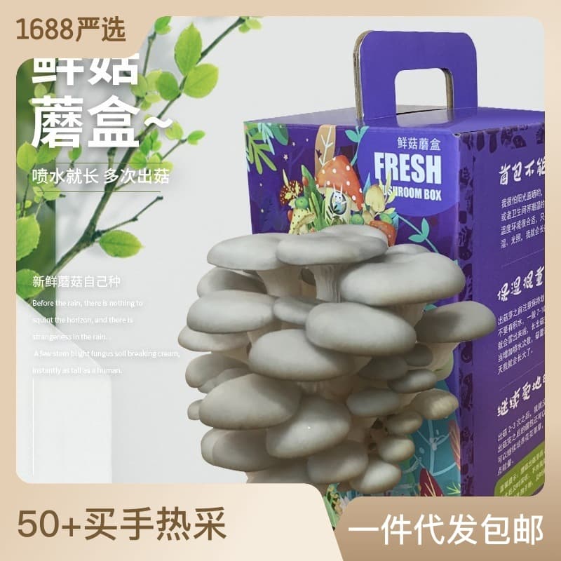 Mushroom Growing Kit for Kids, Home, School, Kindergarten, Gift Company, Oyster Mushroom Spawn, Green Potted Plant