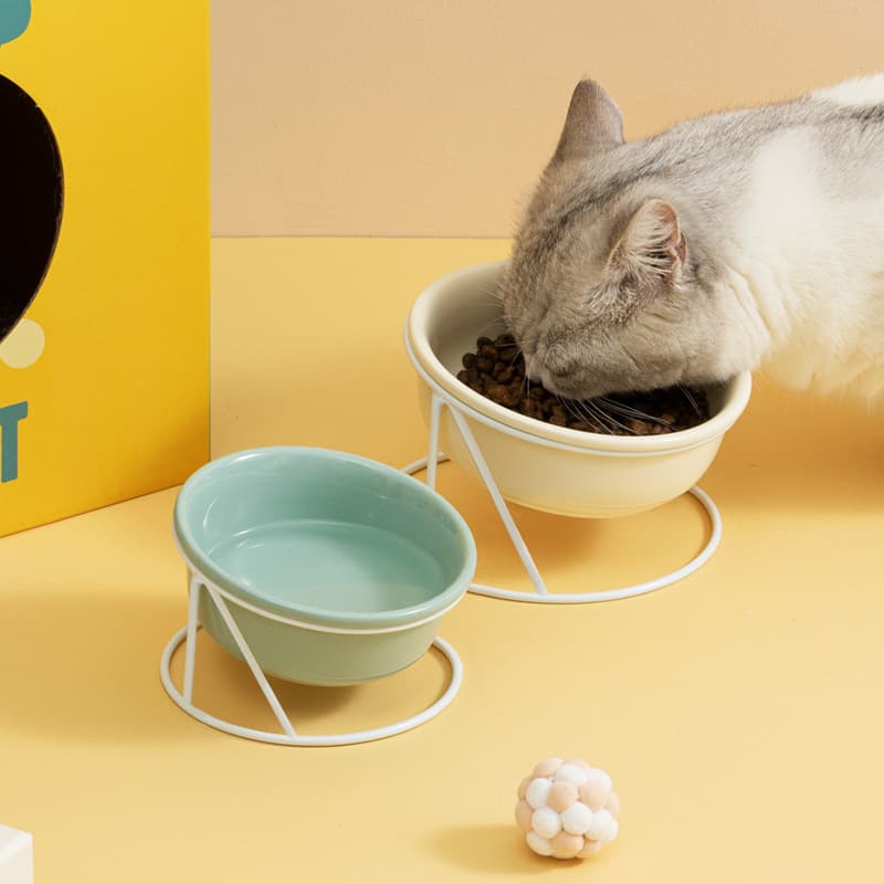 Pet Garden / Cat Food Utensils / Cat Feeding Tools
