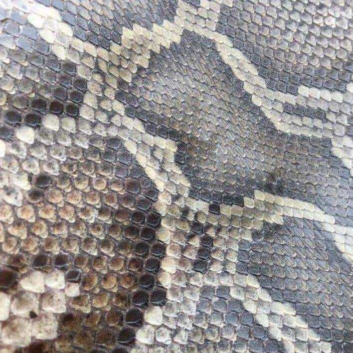 Yuehu three-string python skin, erhu skin, musical instrument skin, Yuehu python skin, Yuehu snake skin, small mountain python skin, main hu snake skin