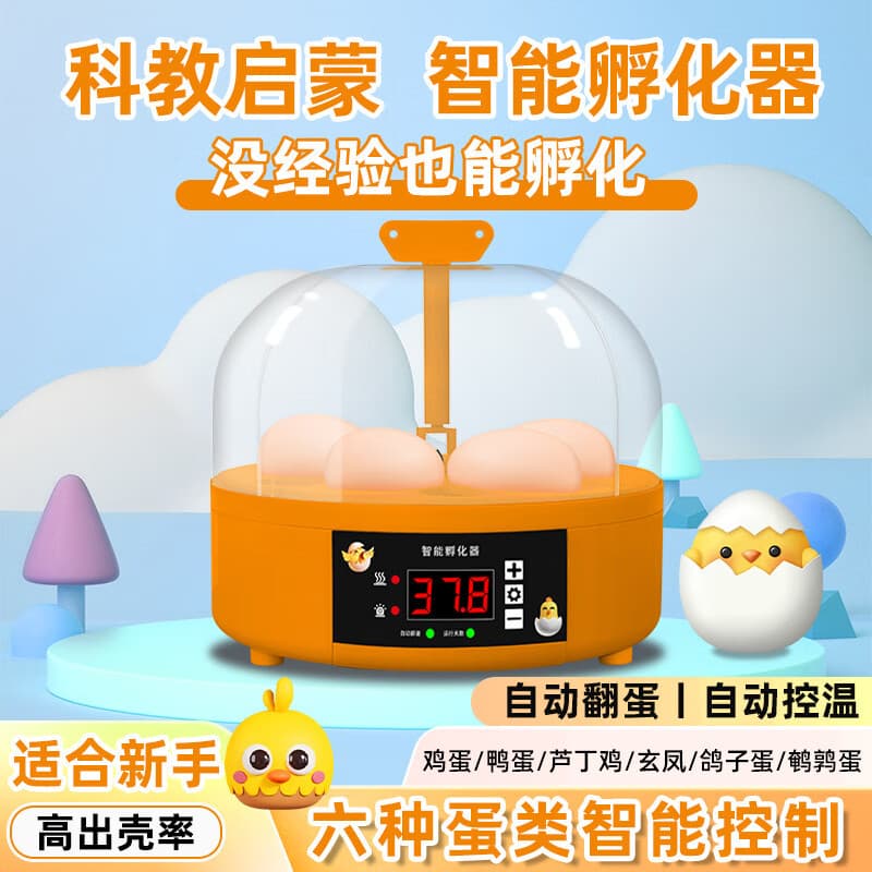 Incubator home teaching small rutin chicken hatching chicken duck goose incubator fully automatic egg incubator portable