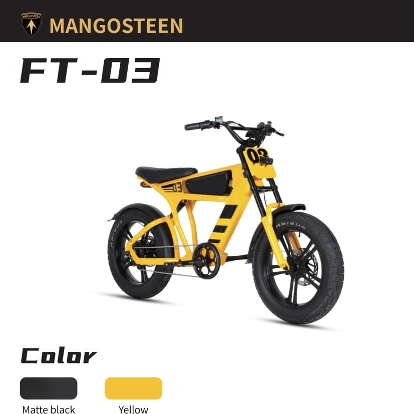 Cross-border Electric Mountain Bike FT-03 EBIKE 750W/1000W Electric Bicycle
