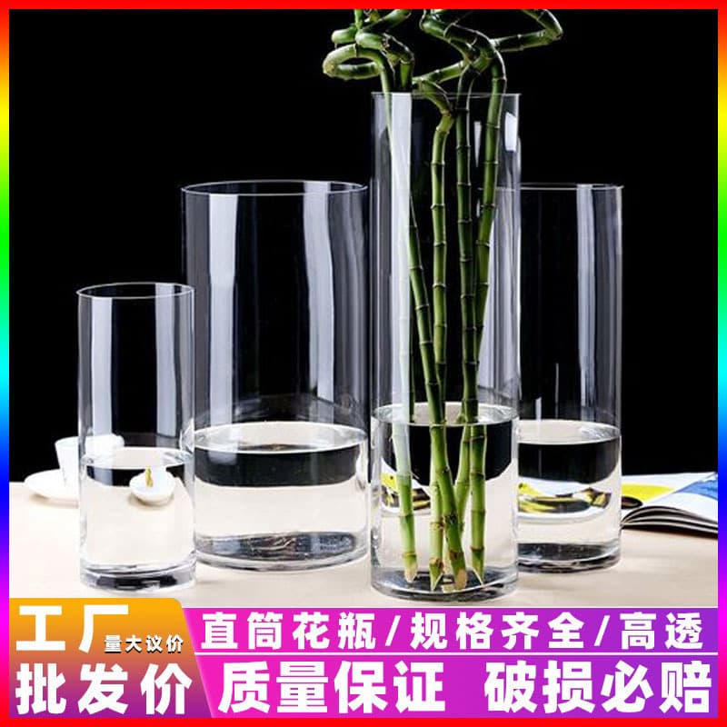 Straight Glass Vase, Transparent Lucky Bamboo and Japanese Andromeda Hydroponic Plant Container, Flower Awakening High-end Living Room Floor Decor