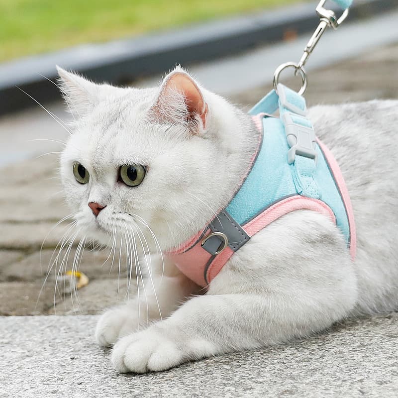 Cross-border Pet Harness Vest for Small Dogs, Cat Leash, Escape-Proof