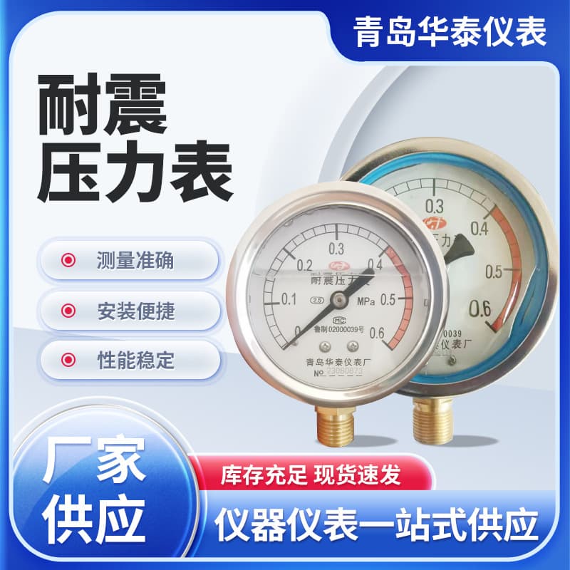 Vibration-resistant Pressure Gauge YN-60 YN-100 for Water, Oil, Gas, Natural Gas Pressure Testing and High-Pressure Testing