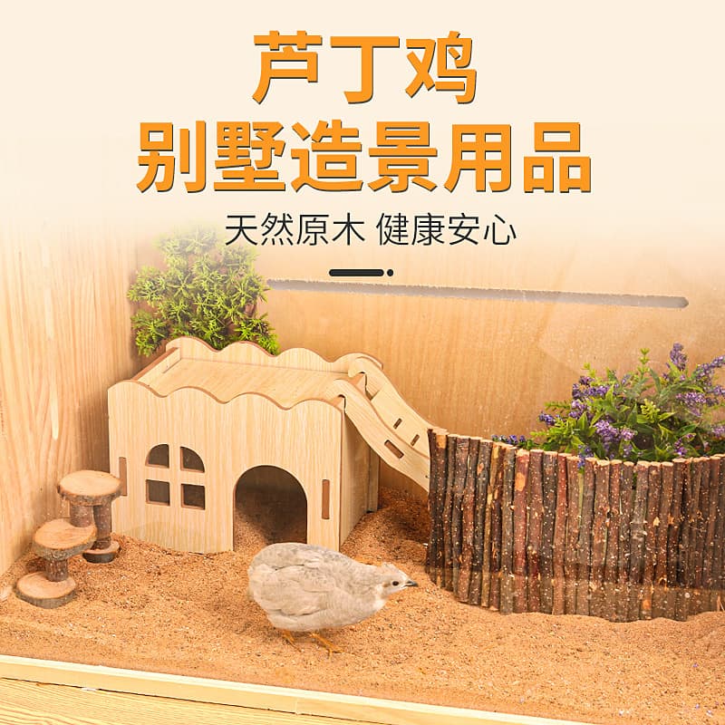 Button Quail Wooden Toy House Ladder Button Quail Hamster Wooden Landscape Viewing Button Quail Supplies Complete Set