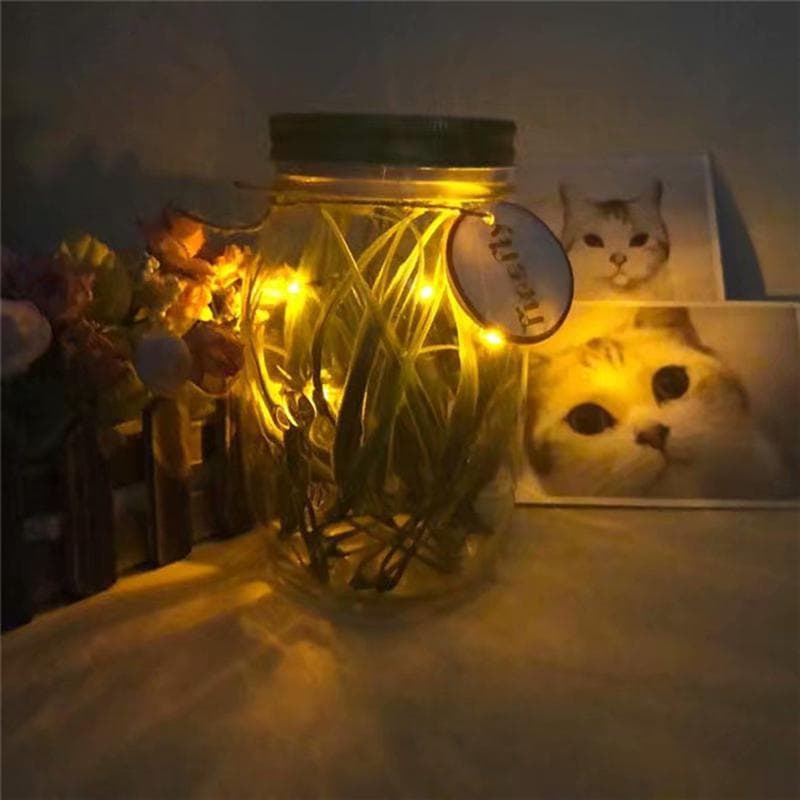 Super Butterfly Romantic Butterfly Jar, Romantic Firefly Jar, Valentine's Day Gift Glowing Bottle, Sunlight Jar, Night Light Jar, Moonlight Jar