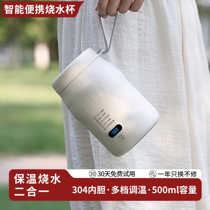 Portable Electric Heating Cup Multifunctional Milk Warmer Travel Kettle Household Insulated Boiling Cup Office Electric Thermos
