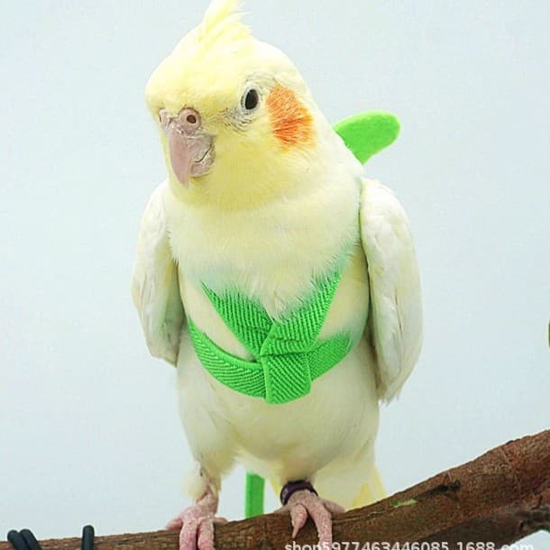 New Parrot Flight Leash Ultra-Light Tether Outdoor Flying Rope Flight Harness Bird Walking Rope