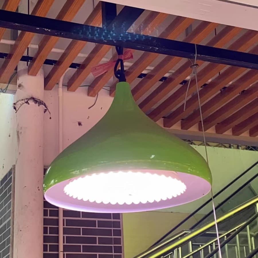 LED Lens Fresh Light for Market Meat Lamps, Braised Meat Lamps, Supermarket Fruit and Vegetable Pendant Lights, Specialized Fresh Vegetable Lighting