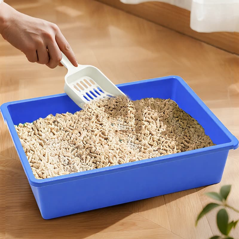 Open Cat Litter Box Pet Litter Pan Cat Cleaning Supplies Cat Litter Box with Scoop